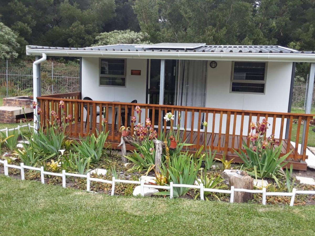Nadine'S Self - Catering Accommodation Stormsrivier Zewnętrze zdjęcie